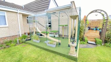 Catio for two MaineCoons 