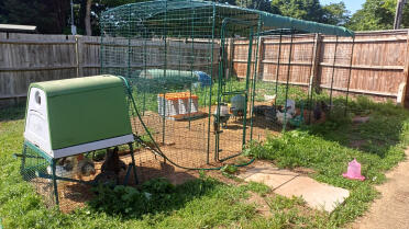 Beautiful run