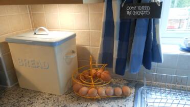 Egg Skelter
