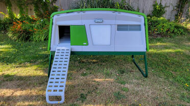 New coop