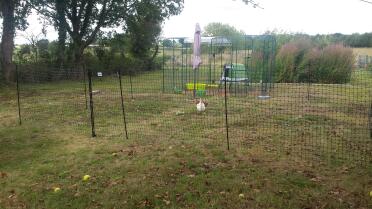 Look how much space for animals in the walk in run