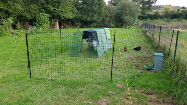 The coop can be installed within our fencing