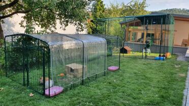 Large rabbit runs connected together using rabbit tunnels.