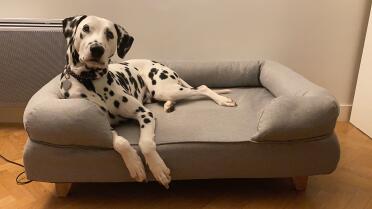 Dog laying on Omlet Topology dog bed with square wooden feet
