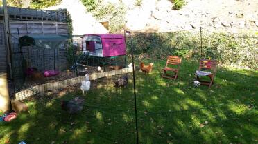 Hühnergehege - großartig!