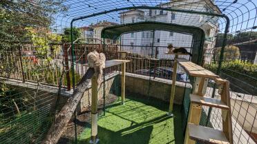 Personalise your enclosure to bring diverse occupations to your cats