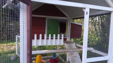 The Autodoor fits on to many different chicken coop designs