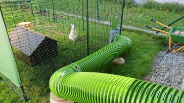 A Zippi rabbit run can be used to connect a hutch to a rabbit run.