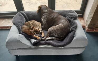 Merida and Karou Love This Bed