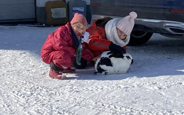 Kyllingeindhegningen kan bruges til mere end bare kyllinger....