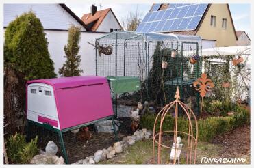 Il sito Eglu Cube con la camminata nel recinto.