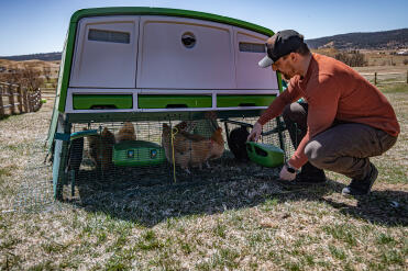 Adding feeders to the Eglu Pro