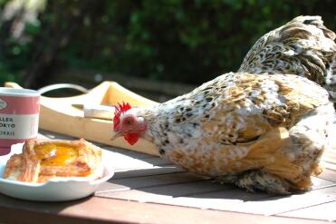 Mmmm...pastries, yum! 