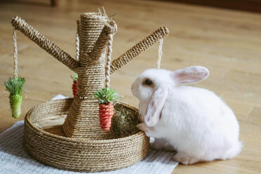 Bunny tree by christina davison