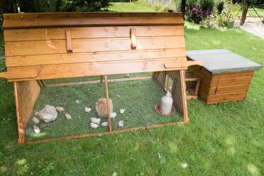 Run modified for bantam chicks
