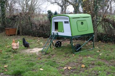 Il pollaio Eglu Cube verde delle mie grandi galline