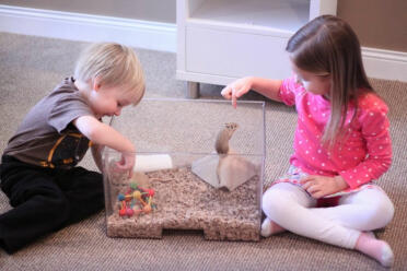Bean und tink spielen mit ihren rennmäusen