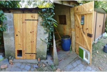 Omlet green automatic chicken coop door attached to wooden chicken coop door