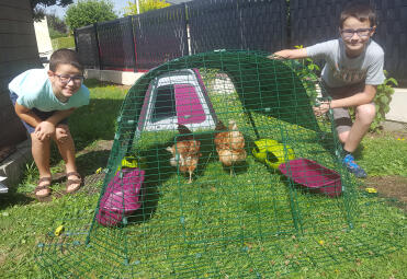 Cocotte and poulette in their palace. thanks to my 2 grandsons for their precious help in the construction. 