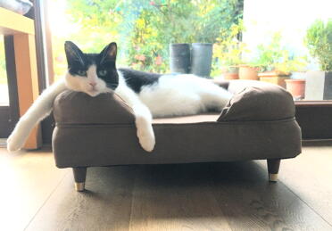 The bed offers a lot of space