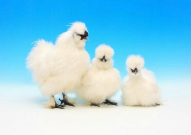 Im Besitz von Richard Boden