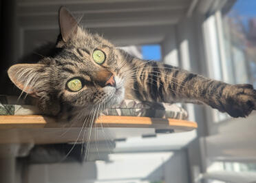 Toby kit, soldyrkare