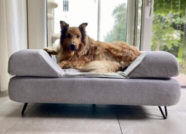 Enjoying the space provided