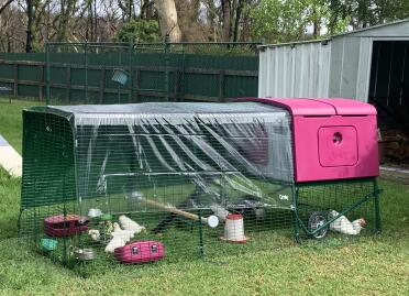 Omlet sell all you need to make a haven for your hens!