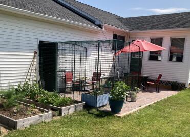 A safe way for your cats to play outside