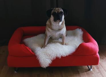 An elegant bed