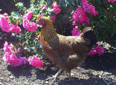 En attendant des jours meilleurs 