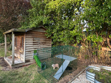 Tunnel för kaninpennor