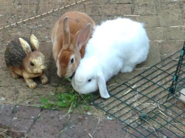 Friends together