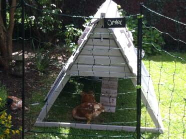 Meine kleinen mädchen werden zu frechen teenagern 