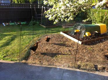 21m fencing