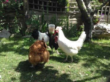 Love it.... Keeps them out my flower beds ! 