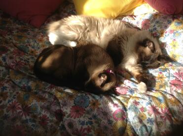 Mia schlief und kuschelte sich an ihre beste Freundin Jasmin, die 17 Jahre alt ist.