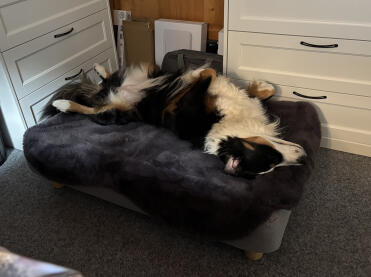 The office is the best place to sleep
