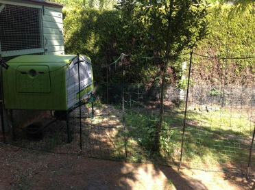 Omlet Fencing with Eglu Cube