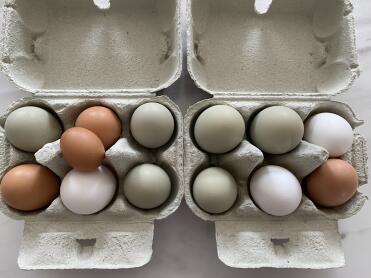 Egg boxes