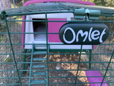 Omlet