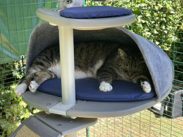 ‘Luna’ Just Chillin!