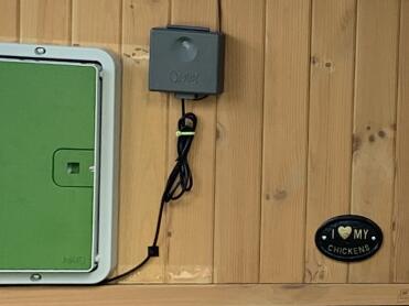 If you love your chickens, treat them with the Autodoor.