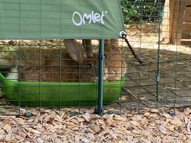 Happy rabbits hiding in a feeder.