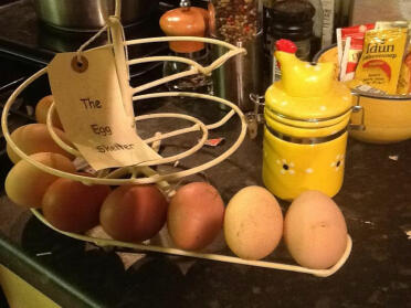 Egg Skelter