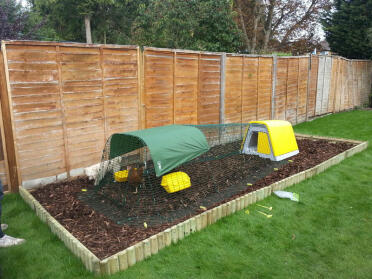 Yellow Eglu Go on wood chippings