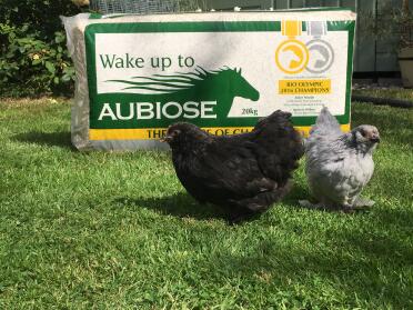 Können wir es essen???