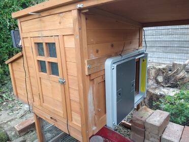 Door attached to a small wooden coop