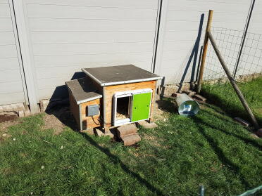 The autodoor makes keeping chickens so easy!