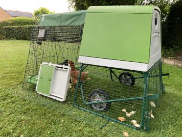 The door can fit on the side of your coop run